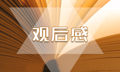 2020精选《国家监察》第五集《打造铁军》心得体会范文5篇