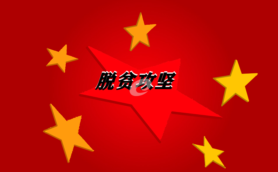 脱贫攻坚心得总结800字