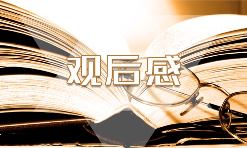 党员观看党风廉政宣传片的心得体会范文【5篇】